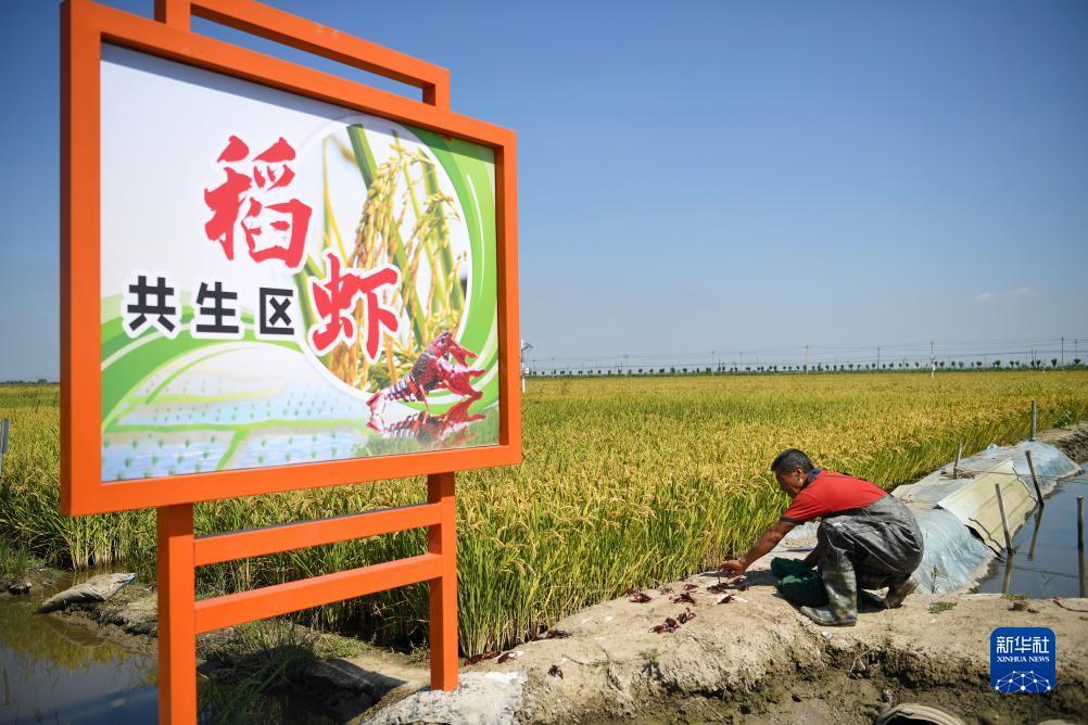 打牌网下载